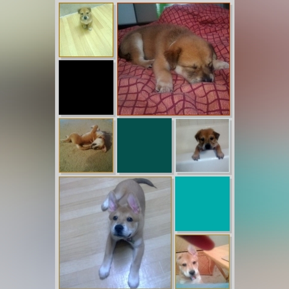 Unlisted Items - Picture 3 of 3